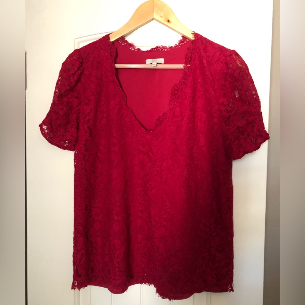 Lace Joie Top